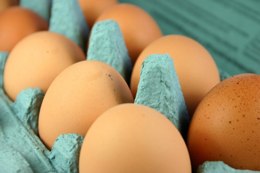 Are Eggs Healthy Herbal One