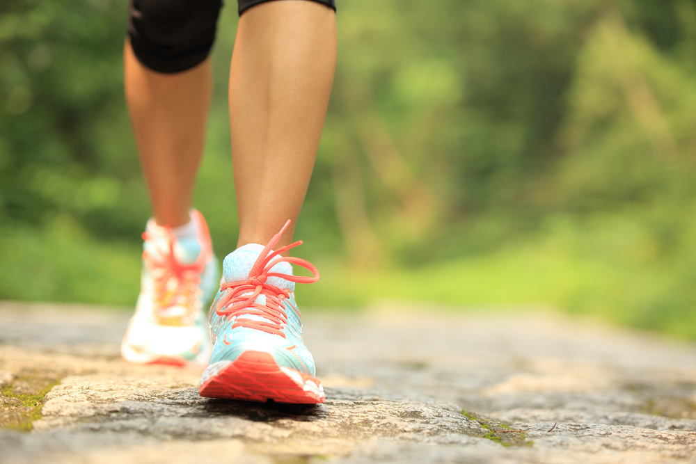 Young,Fitness,Woman,Legs,Walking,On,Forest,Trail